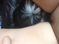 Horny pooch is eager to lick on her owner's pussy
